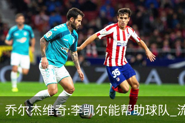 乔尔杰维奇:李凯尔能帮助球队 流程要去问篮协
