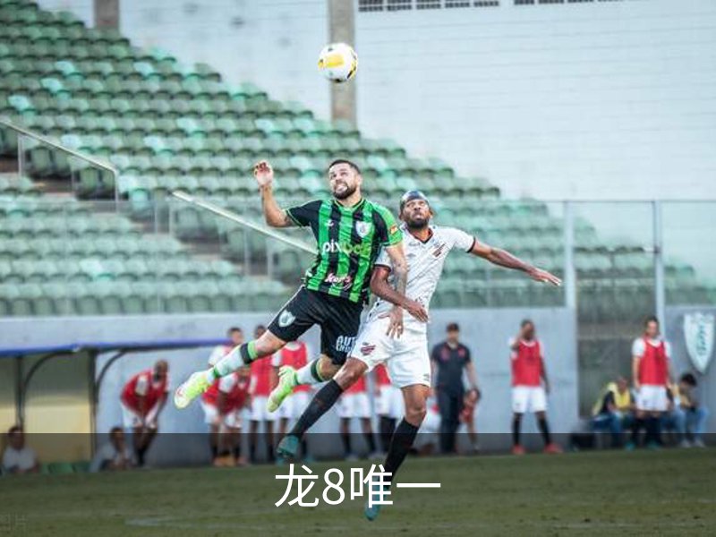龙8唯一概况